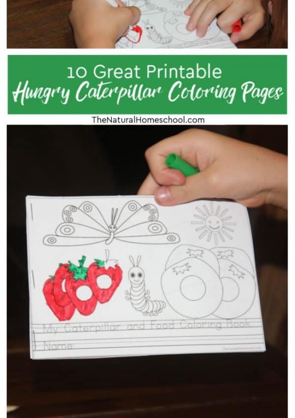 Learning the days of the week, story sequencing, the butterfly life cycle, food names and more; it is a fantastic educational story and resource. So, without further ado, here are 10 of the greatest printable hungry caterpillar coloring pages in the world!