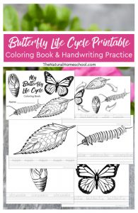 This Sensational Butterfly Life Cycle Book Printable will Blow your ...