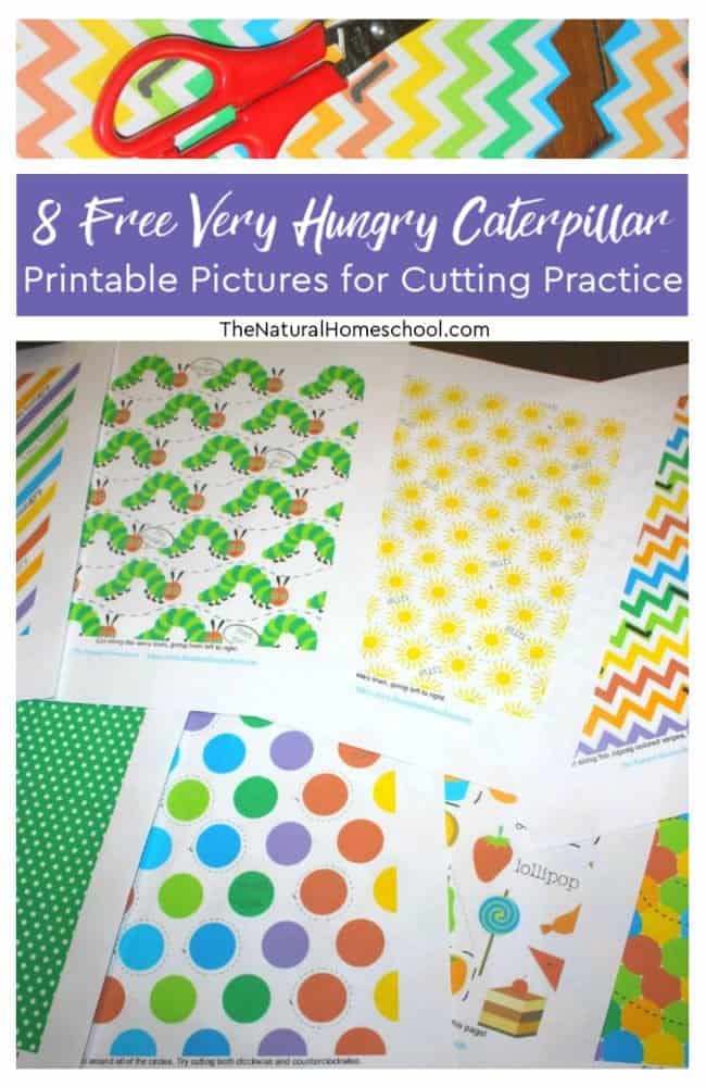 The very hungry caterpillar printable set is beautiful with cutting practice worksheets for free at the end of this blog post. Take a look at our Very Hungry Caterpillar Printable Pictures for Cutting Practice download!