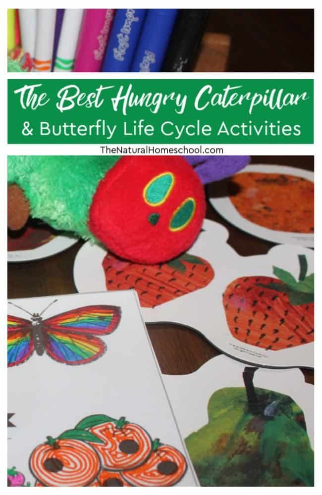 Here is The Best Hungry Caterpillar & Other Butterfly Life Cycle Activities!