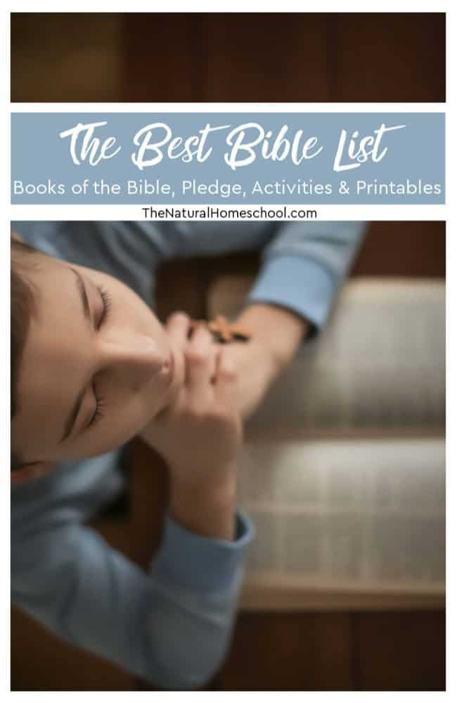If you are looking for books of the Bible worksheets, they are here! We have New Testament, Old Testament and much more than that! Be sure to check back often as we are always adding new content.