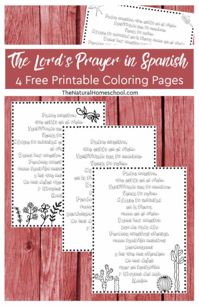 In this post, you will be able to download and print 4 free printable Lord's Prayer coloring pages to do with them whatever you see fit in your homeschool! Read on!