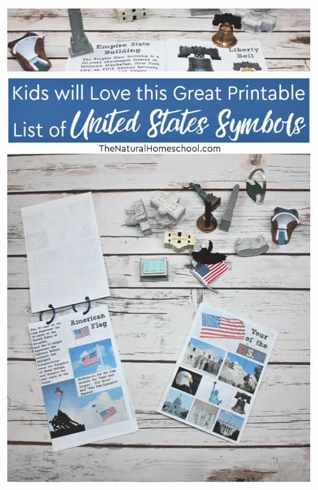We have a wonderful printable list of United States landmarks, monuments and symbols that kids should learn about.