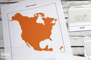 Montessori Zoology: Animals of North America (Free Printables)