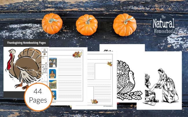 Come and take a look at how you CAN incorporate the holidays into your homeschooling day with these free Thanksgiving notebooking pages!