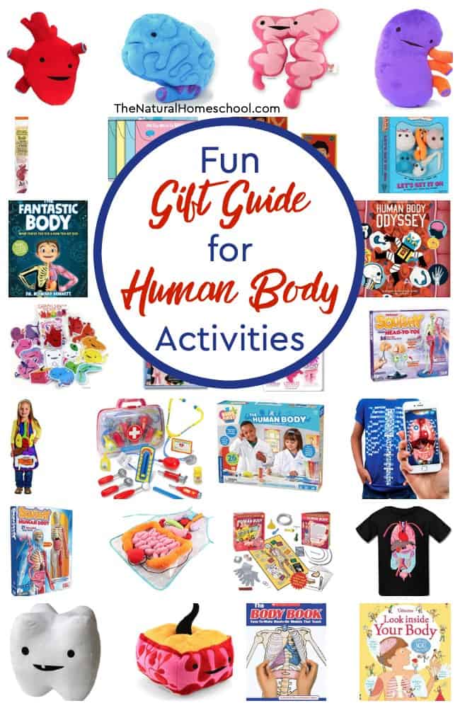Homeschool Gift Guide for Human Body Activities - The Natural Homeschool
