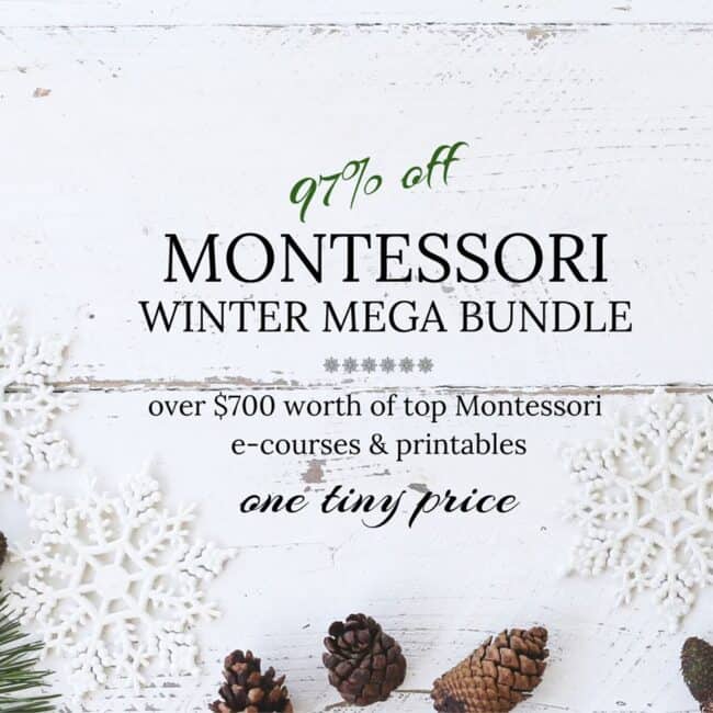 Go ahead and click HERE to gain access to the 2019 Montessori Winter Mega Bundle, including your early bird bonuses.