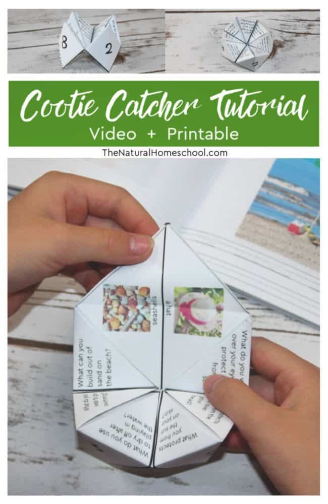 In this post, I will guide you through the process of making a cootie catcher tutorial or, as others call it, origami fortune tellers.