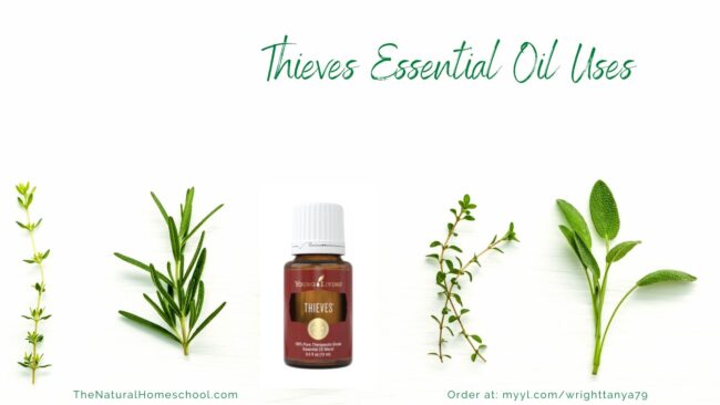 Take a look at what essential oils this Thieves blend contains, 24 ways you can use it.