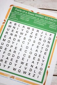 Montessori Botany Activities ~ Parts of a Seed Printable Bundle - The ...