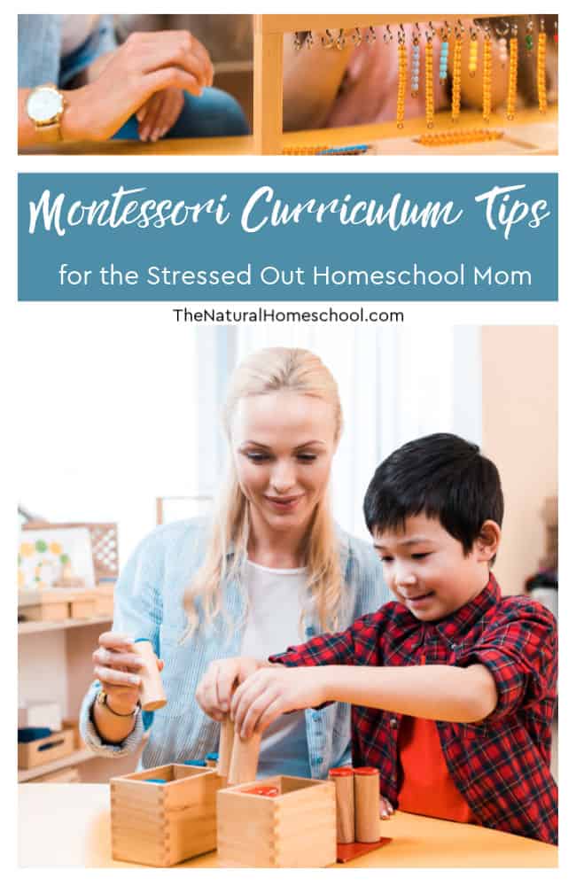 You are not alone and I have a list of Montessori Curriculum Tips for the Stressed Out Homeschool Mom that will be helpful to you.