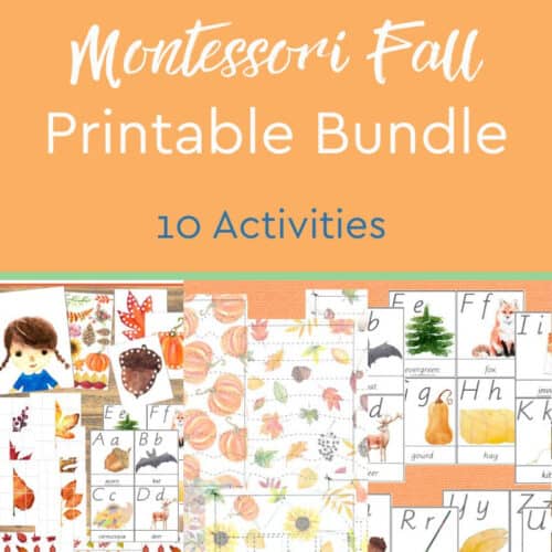 Montessori Botany Activities - The Natural Homeschool