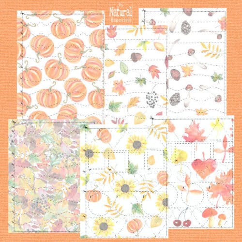 Fall Montessori Printables for Kids - The Natural Homeschool