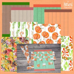 Fall Montessori Printables for Kids - The Natural Homeschool