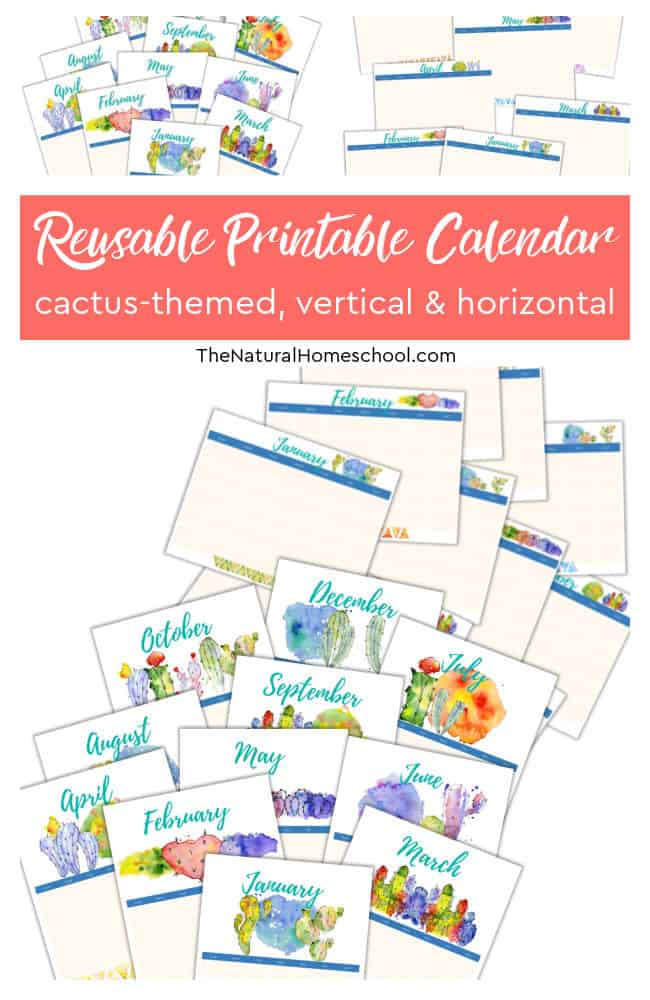 Do you need a beautiful homeschool vertical and horizontal calendar? Take a look at these 2 great homeschool 12-month calendars.