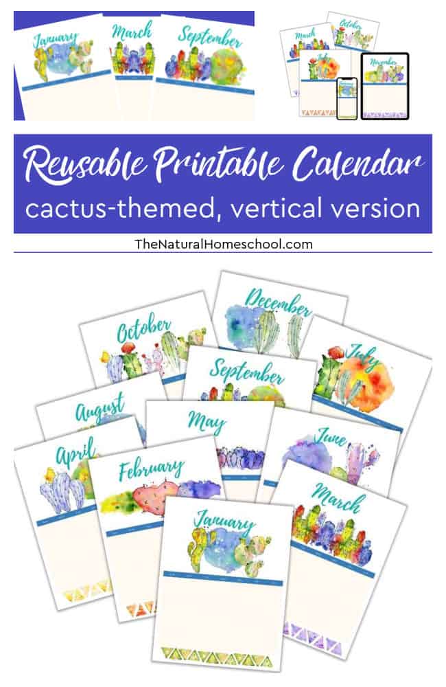 Have you been looking for a beautiful homeschool vertical calendar that will get you started on your homeschool year right? If so, then come and take a look at this great homeschool 12-month planner.