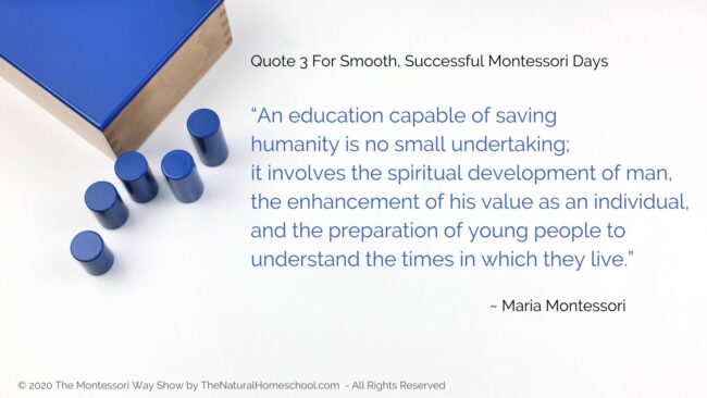 In this post, live show recording and podcast episode, I am going to share with you 3 favorite Montessori quotes for you to ponder on.