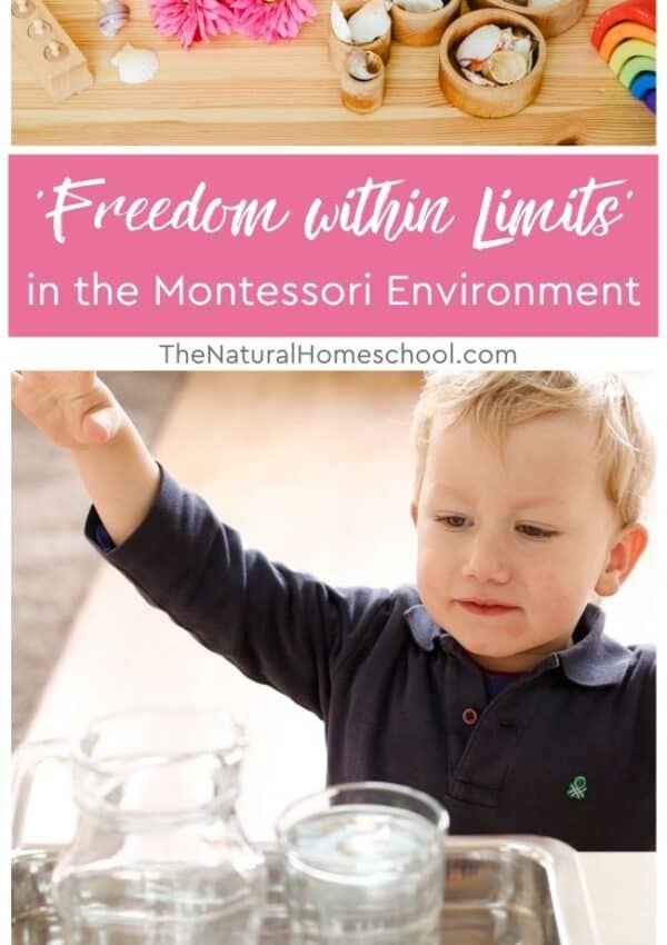 Come and find out how freedom within limits works for discipline in children.