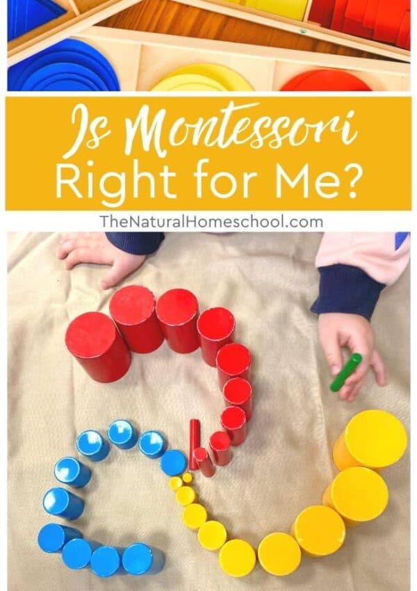 I don't want you to feel that way and be in limbo without knowing where to go or what to do, especially if you are doing Montessori at home!