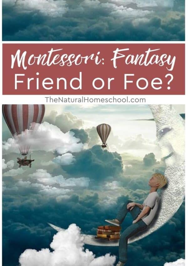Come and decide if, after you read and watch, you think whether Montessori is a fantasy friend or foe.
