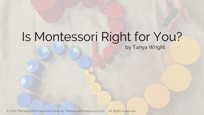 In this post, live show recording and podcast episode, I am going to share with you 3 favorite Montessori quotes for you to ponder on.