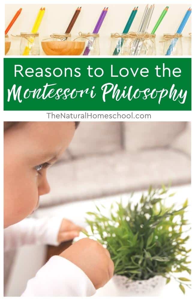 If you are new to the philosophy, you will fall in love with it and if you are a seasoned Montessorian, it will make you love it even more!