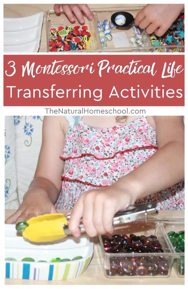 It will help you understand how to set up dozens of Montessori Practical Life transferring activities and will set up the children for success.