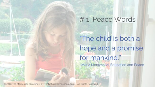 In this post, live training and podcast episode, I am going to give you 3 tips to: teach, model and grow peace in our lives the Montessori way.
