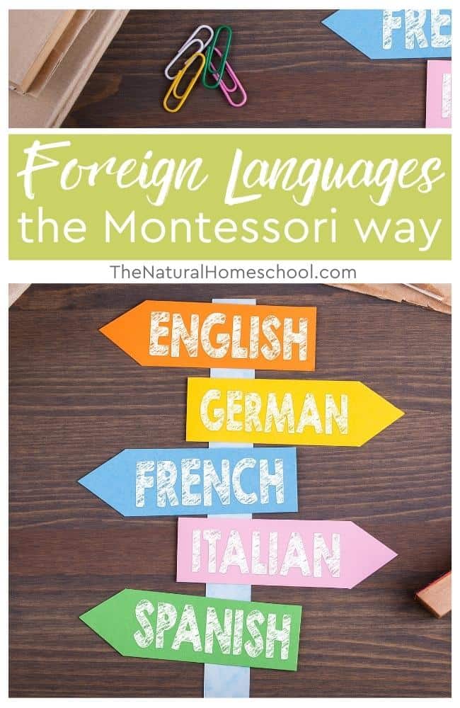 I'll show you how to do foreign languages the Montessori way.