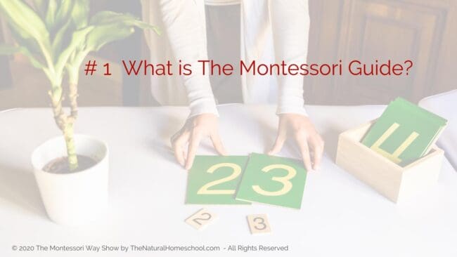 Today, we're going to be talking about you being The Montessori Guide, what that means and what you can expect to take on as your responsibilities.