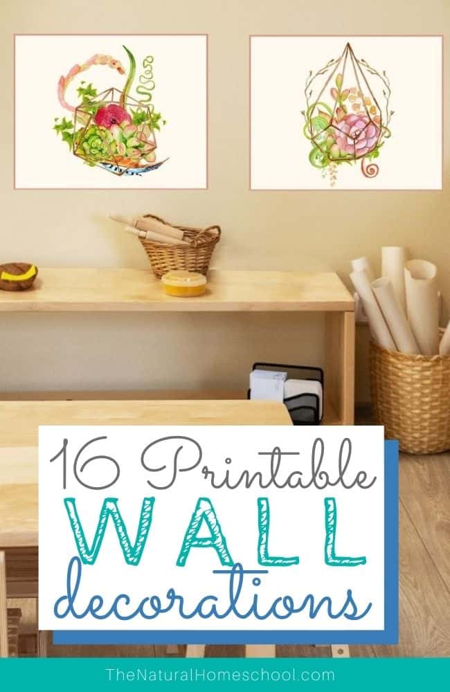 Come and find out just how beautiful your Montessori environment or homeschool room can look by getting these 16 beautiful wall decorations!