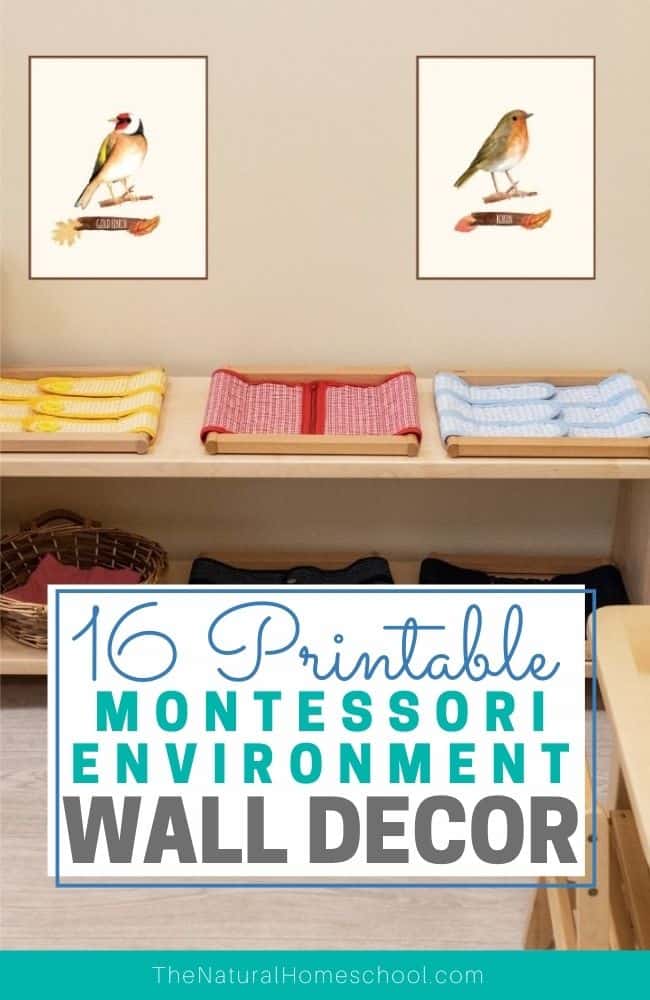 Come and find out just how beautiful your Montessori environment or homeschool room can look by getting these 16 beautiful wall decorations!