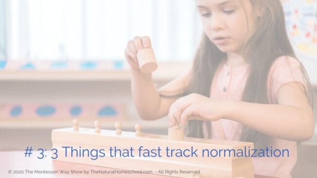 In this episode, let's discuss what Montessori normalization is, why it is important, what are some typical behaviors of normalized children and what are some things that you can do to help shortcut normalization in the children you work with.