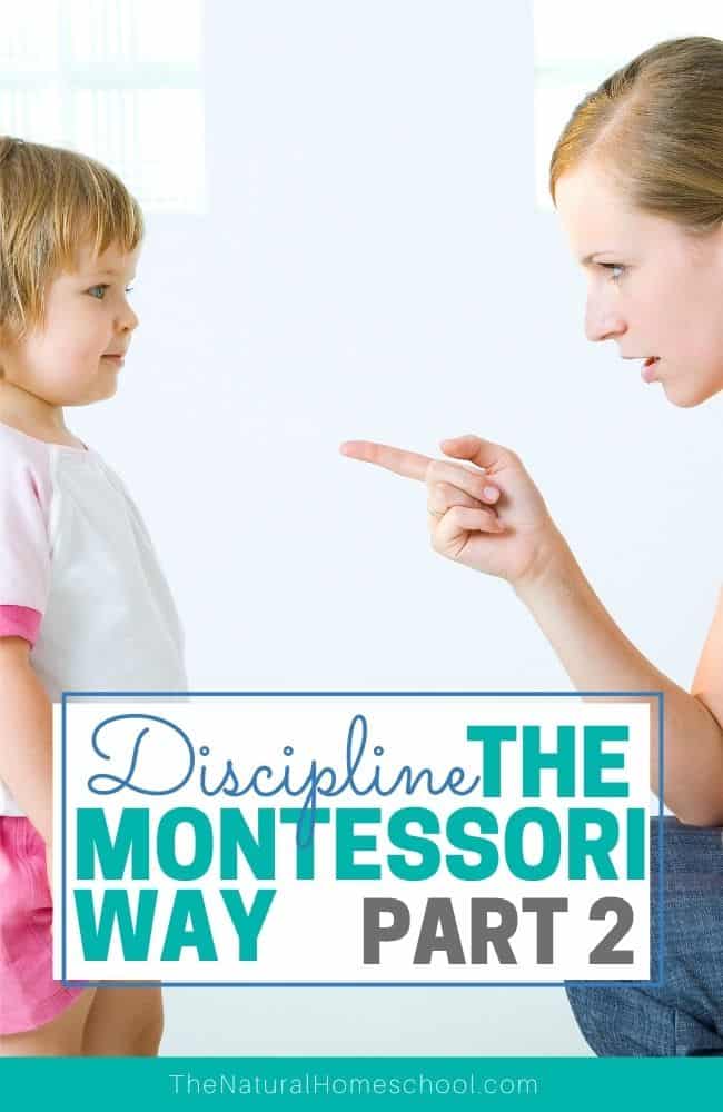 Discipline, even Montessori discipline, can be a pretty touchy topic, but it must be talked about, right? In this post, let's dive deeper into the very important topic of discipline.