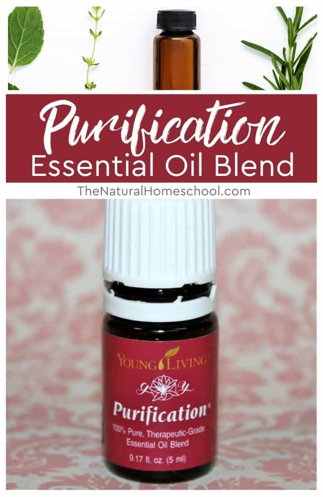 Are you interested in learning about an essential oil blend called Purification? Download your free Purification Information card!