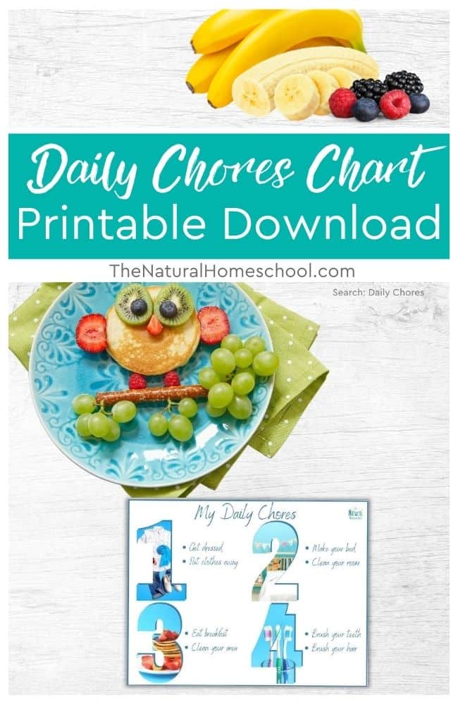In this post, you can get a simple visual daily chore chart printable download!