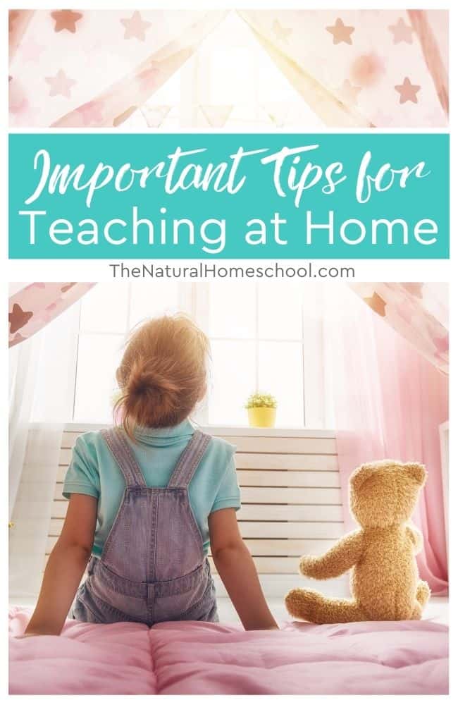 In this training, we are going to focus on 9 important tips for teaching at home that will help you so much today.