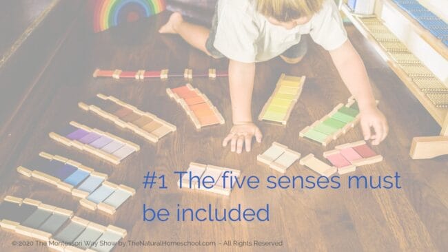 In this training we will answer an essential question: Why are Montessori sensorial works so important for children? This is so you can gain a better understanding of this fantastic subject when you implement it in your Montessori environment.