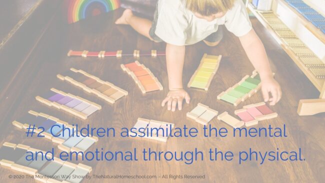 In this training we will answer an essential question: Why are Montessori sensorial works so important for children? This is so you can gain a better understanding of this fantastic subject when you implement it in your Montessori environment.