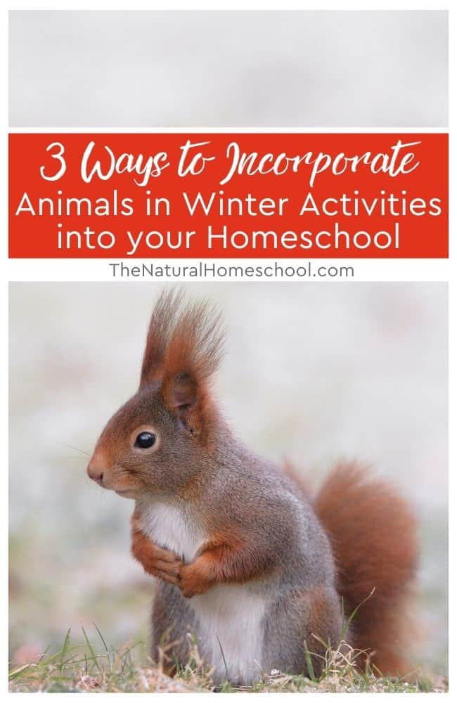 In this training, we are going to focus on three activities that you can do to learn more about Animals in Winter.