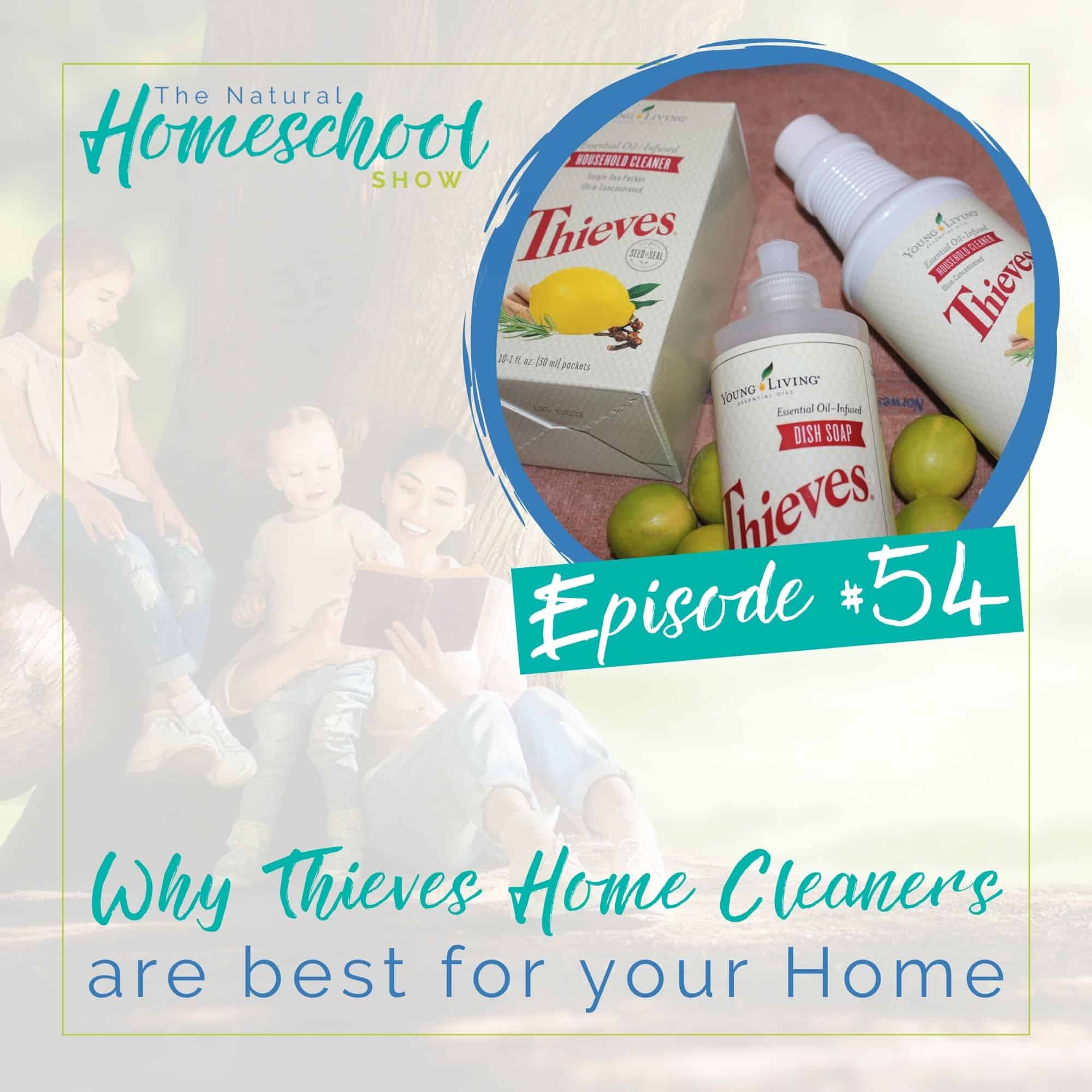 Episode 54: Why Thieves home cleaners are best for your home episode artwork