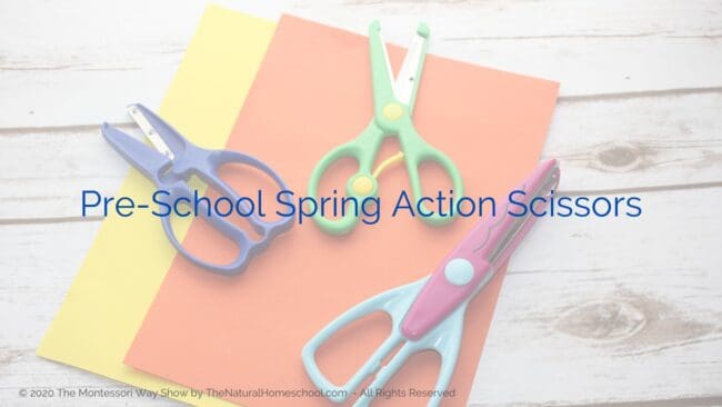 What are the best scissors to start preschool cutting practice? There are some that help children be more successful as they practice their fine motor skills.