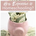 How expensive is homeschooling? We looked at online surveys and data from homeschooling sites to estimate homeschooling expenses.