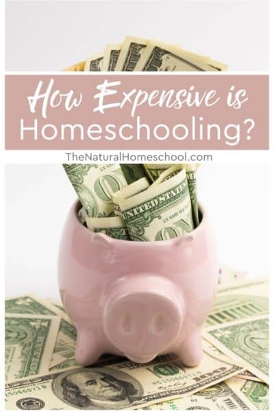 How expensive is homeschooling? We looked at online surveys and data from homeschooling sites to estimate homeschooling expenses.