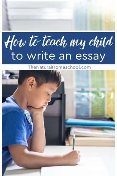 The first knowledge of essay writing plays a fundamental role in a kid’s development and further learning.