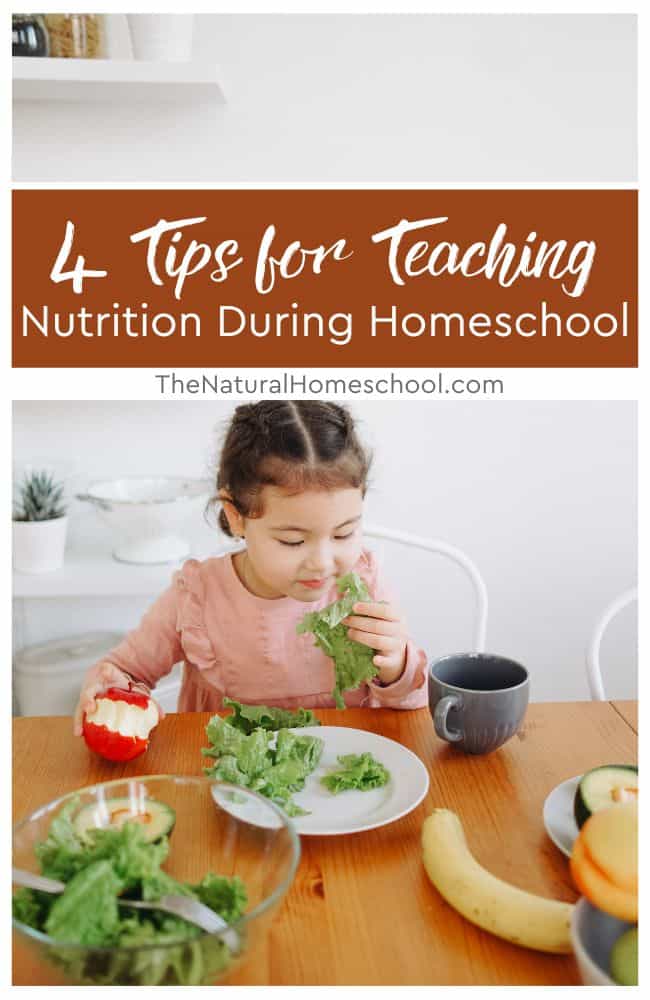 When it comes to children's well-being and healthy eating are extremely important topics. So, how can you teach nutrition while homeschooling? 