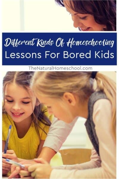 There are many different kinds of homeschooling lessons for bored kids that you will love. Come look at some of them!