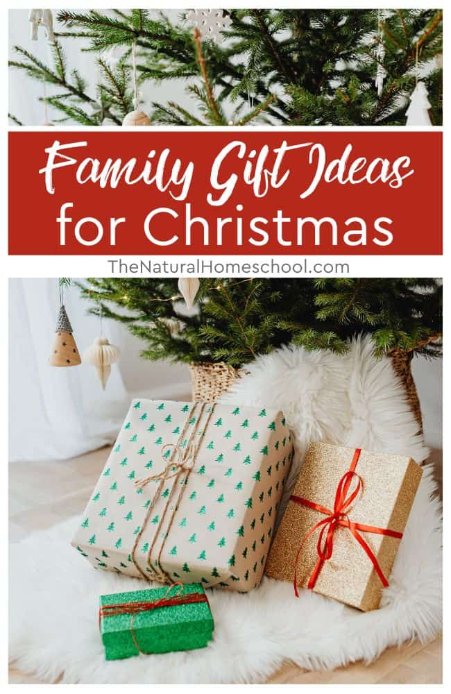 In this article, you can find five perfect family gift ideas for multiple people that are both functional and fun.