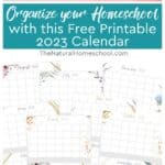 Whether you have young children or all the way in high school, you CAN organize your homeschool with the right resources
