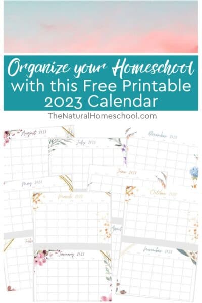 Whether you have young children or all the way in high school, you CAN organize your homeschool with the right resources